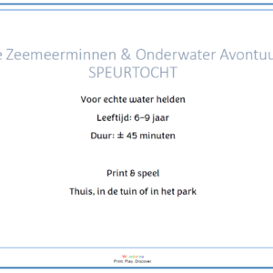 Speurtocht Het zeemeerminnen & onderwater avontuur